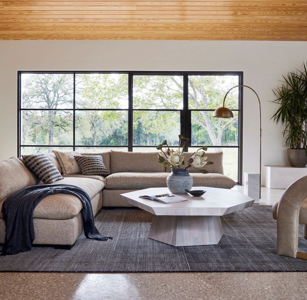 organic-modern-living-room-midcentury